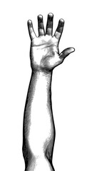 Black engraving human right fore hand up illustration on white BG