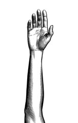 Black engraving human neutral forehand up illustration on white BG