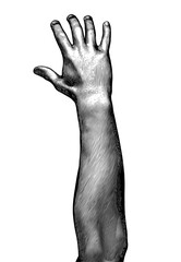 Black engraving human back hand up illustration on white BG