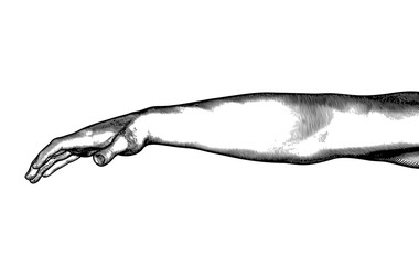 Black engraving human hand wrist and arm illustration on white BG