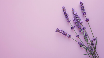 A few sprigs of lavender on a calm, pastel purple canvas, Valentine's Day, Flat lay, top view, aesthetic background, with copy space