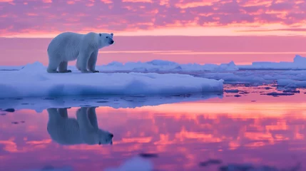 Gordijnen A reflective scene of a polar bear standing on an ice floe during the Arctic twilight. Wildlife day © Tazzi Art