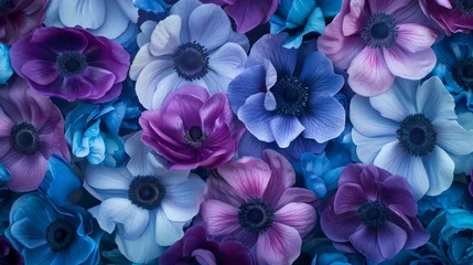 Fotobehang Exotic tropical anemone flowers with a vibrant mix of blues and purples generative ai © ThisDesign