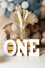 One year cake photoshoot setup