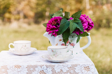 Outdoor tea party