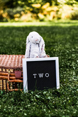 Two year old irthday sign