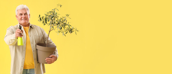 Senior male gardener with houseplant and sprayer on yellow background with space for text
