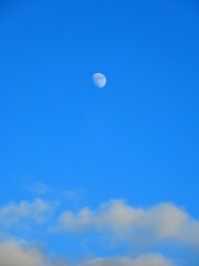 Moon at noon