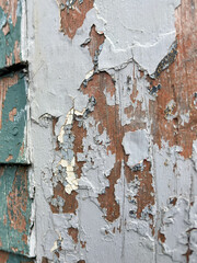 A wooden exterior wall, white and green color, of textured rough clapboard siding.  The wood is grainy and there are overlapping boards. The wall has bumps and uneven surfaces with peeling paint.