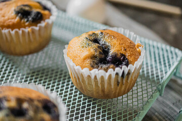 cupcake, cake, dessert, food, sweet, cream, baked, icing, chocolate, frosting, cup, snack, pink, cupcakes, delicious, white, pastry, birthday, party, decorated, muffin, cakes, bakery, nobody, celebrat