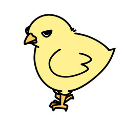 cute chick transparent background vector illustration