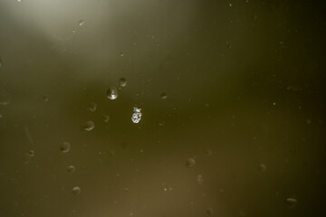 Empty/Copy Space Snow Flake Melting Water Droplet Green Shades Background