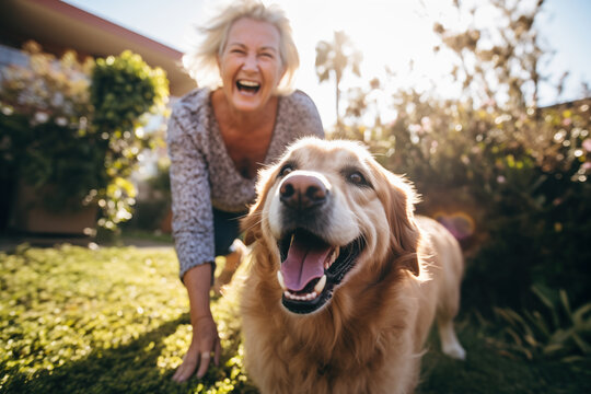 A happy old woman, smiling grandmother playing with her pet golden retriever dog in the garden or back yard.