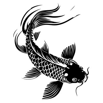 Silhouette koi fish black color only