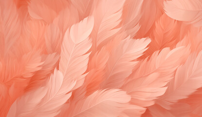  Peach Feathers Detail Close-up Background