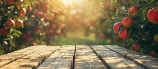 Fotobehang Retro-toned image of wood table in apple orchard with selective focus for product placement. © TheWaterMeloonProjec