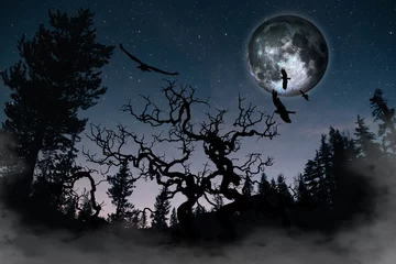 Papier peint photo autocollant rond Pleine Lune arbre Silhouette of birds and dead tree on the background night sky with moon and stars "Elements of this image furnished by NASA
