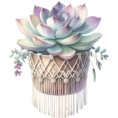 Succulent and Cactus, A watercolor painting of a succulent plant in a bohemian macramé hanger, using pastel colors. PNG Clipart, High Quality Transparent Backgrounds