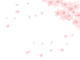 満開の桜と花びらの背景_水彩イラスト_かわいい春の花の素材