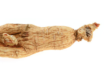 Ginseng on a white background