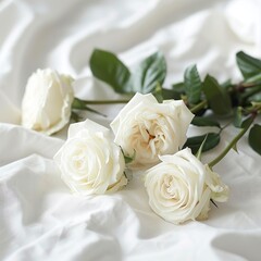 Elegant Roses on Pristine White for Serene Mornings