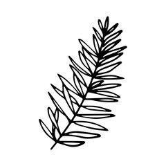 palm leaf drawing