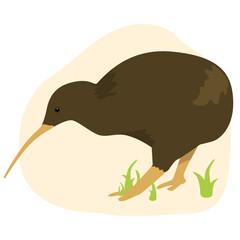 Kiwi Native Aotearoa New Zealand Bird Flat Graphic Vector Illustration on Isolated Background

