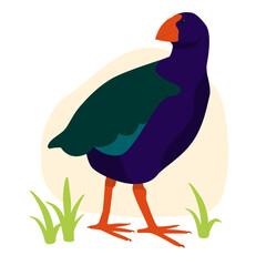 Takahe Native Aotearoa New Zealand Bird Flat Graphic Vector Illustration on Isolated Background
