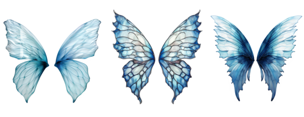 blue butterfly wing groupset