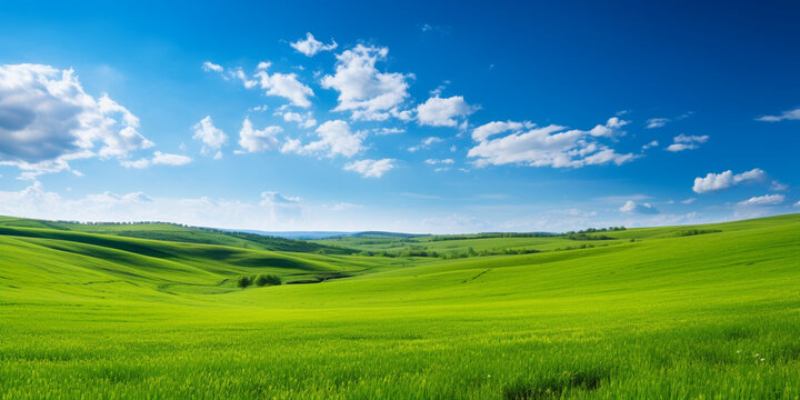 Green grassy hills with blue sky and some clouds  Summer landscape green hills and clouds.AI Generative

