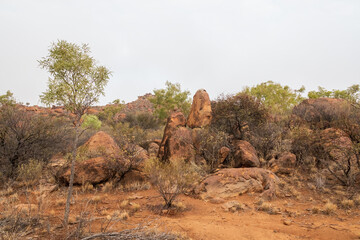 A distinctive rocky outcrop of exposed rocks or boulders made of granite known as a Granite Tor. The result of weathering and erosion processes over an extended period.