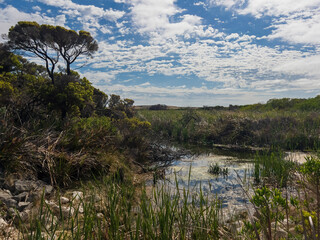 Piccaninnie Ponds Conservation Park; conserves a wetland (fed by freshwater springs) of 862 hectares located in South Australia