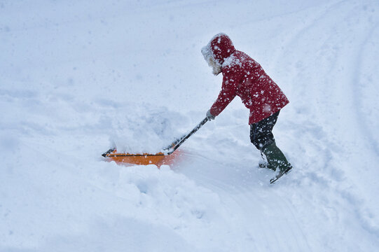 降り止まぬ雪の中、朝から雪かき、運ぶ
