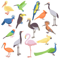 Obraz na płótnie Canvas vector drawing set of birds, hand drawn illustration, isolated natural design elements