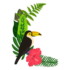 vector drawing bird, hand drawn toucan, green palm leaves and red hibiscus flower, isolated natural design element