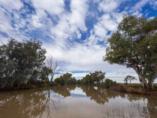 The tranquil reflective waters, eucalyptus trees and blue sky of an Australian outback waterhole
