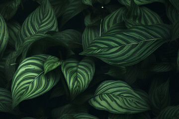 Fototapeta na wymiar natural green leaves background. Organic natural background.