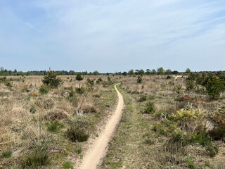 Mountain bike track at the Drents-Friese Wold