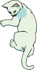 猫（cat）(PNG)