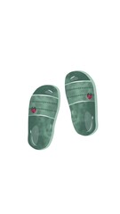 Slipper Illustration