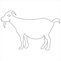Continuous one line drawing of Domestic Goat line art drawing vector illustration