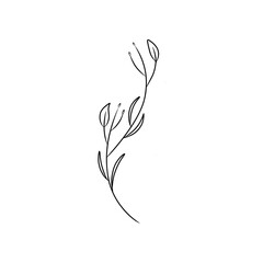 Obraz premium Simple line drawing of a flower suitable for nature themed designs, floral prints, garden illustrations, botanical patterns, and spring or summer themed projects.