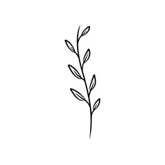 Simple line drawing of a plant suitable for home decor, interior design, botanical prints, nature themed designs, and minimalist illustrations.