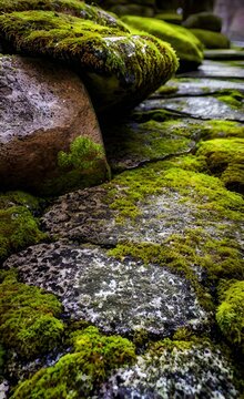 Natural Stones With Moss 03