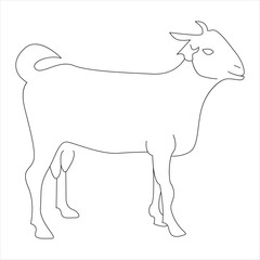Continuous one line drawing of Domestic Goat line art drawing vector illustration
