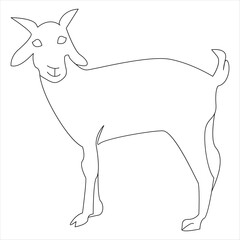 Continuous one line drawing of Domestic Goat line art drawing vector illustration