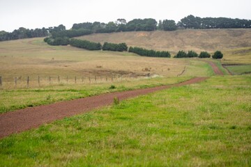 Fototapeta premium laneway on a livestock farm in a gateway on a agriculure farm in austrlian in a dry summer