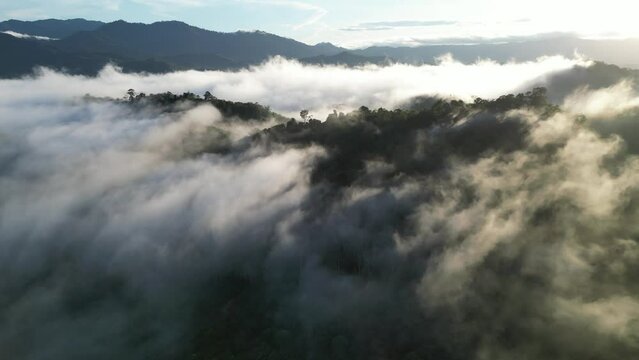 Aerial image showcasing the natural beauty and morning tranquility with low clouds and hills in the background