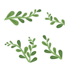 Doodle oval leaf set illustration aesthetic tendrils leaf  cartoon with green color that can be used for sticker, icon, decorative, e.t.c	