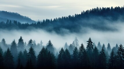 The Veil of Fog Like a gauzy curtain, the thick fog ds over the forest, concealing its secrets and mysteries.